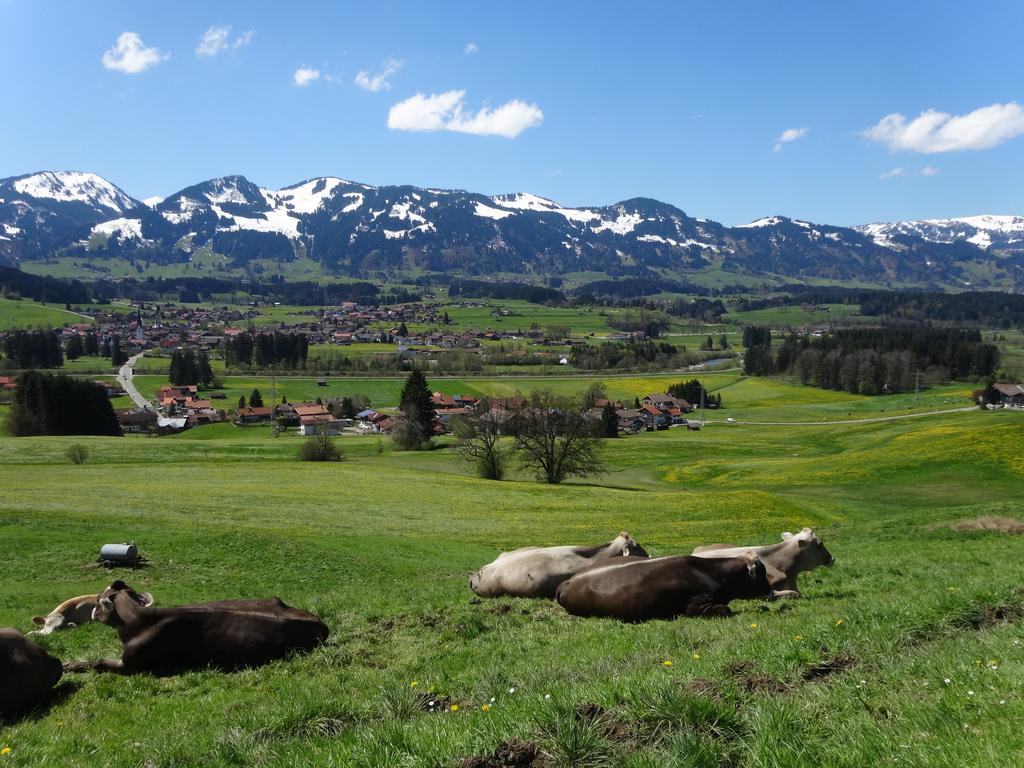 Ferienwohnungen Im Faerberhaus Fischen im Allgaeu Zewnętrze zdjęcie